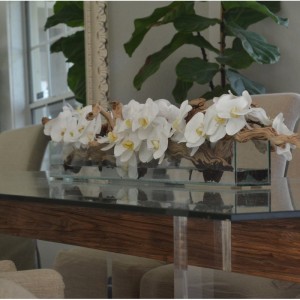 Rosecliff Heights Phalaenopsis and Driftwood Orchids Centerpiece in Planter ROHE7845